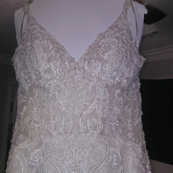 Elegant Cream Lace Wedding Dress - Picture 3 of 10